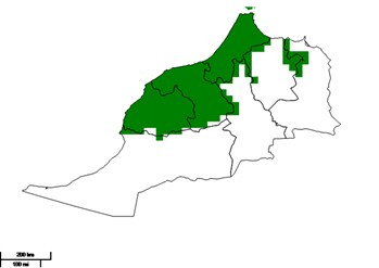 Crop mask of wheat (green areas) in Morocco 