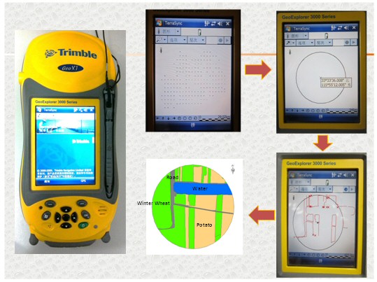 Crop area estimation using remote sensing