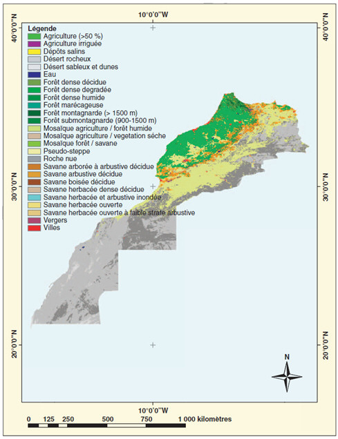 Targeted area 1